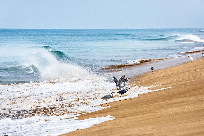 Gujarat Beaches & Coastal Tourism: Complete Guide to the Best Beaches in Gujarat