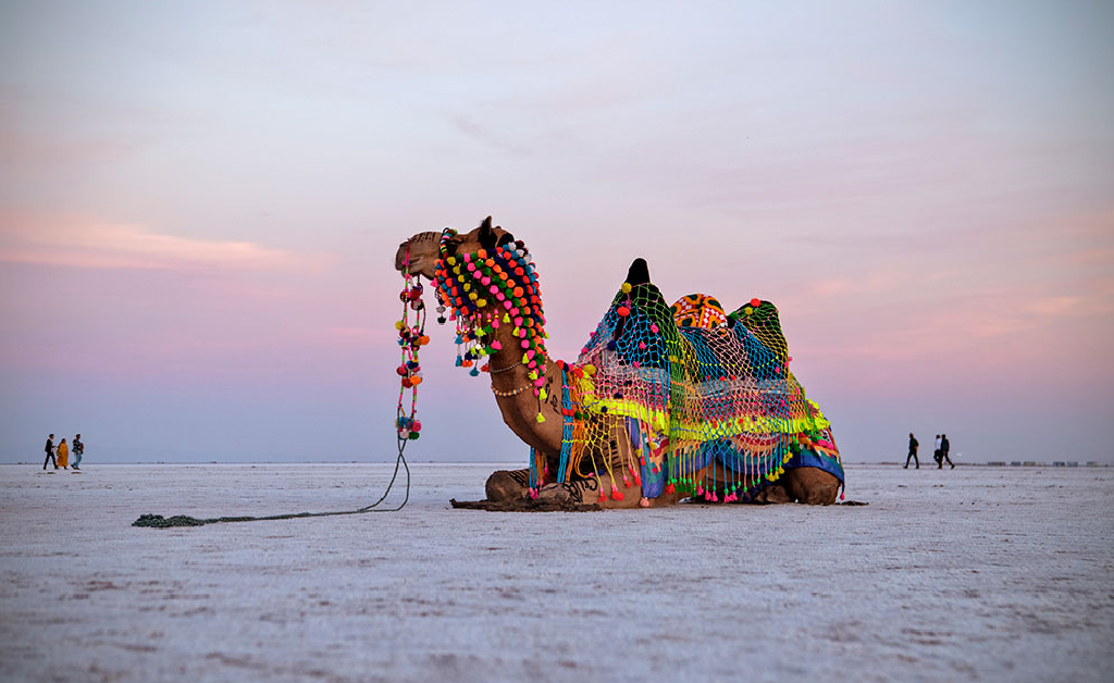 Kutch Special