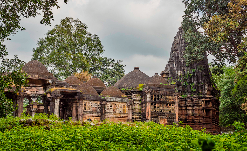 Spiritual Gujarat with Polo Forest