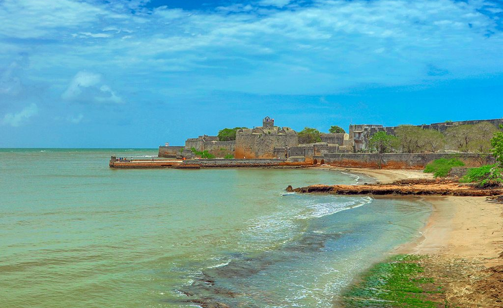 Gujarat's Wildlife & Beaches